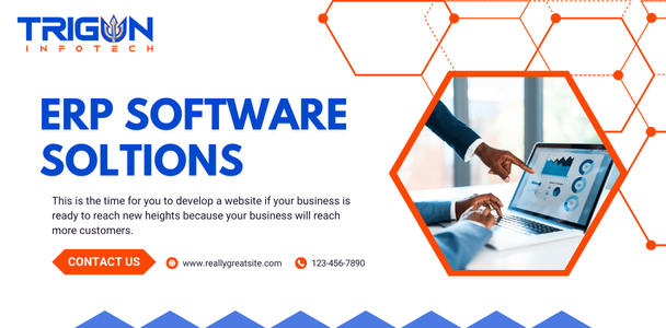 ERP software solutions by Trigun Infotech in Navi Mumbai